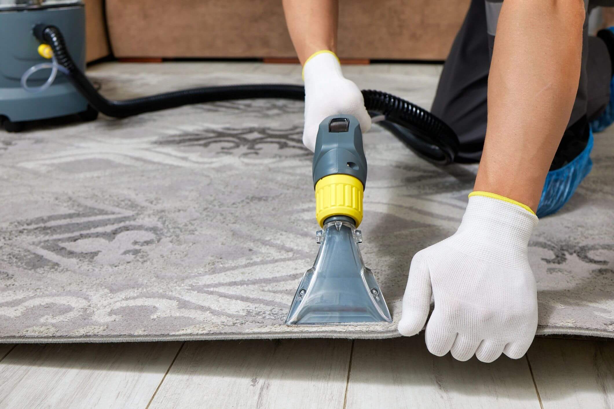 Person cleaning a carpet using a carpet cleaning machine.